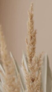 Important Update for Our Valued Clients

We want to express our heartfelt gratitude for your continued support and loyalty over the years. Your trust in our services means the world to us!

As we continue to strive for excellence and adapt to changing circumstances, we would like to inform you that a price increase will take effect starting May 30th, 2024. This change will enable us to maintain the high standards of quality and care that you deserve.

Additionally, we are reviewing our menu and may be making some adjustments to better serve your needs. We will keep you informed of any updates and changes.

Don’t forget to book your appointment now and take advantage of our current prices before the increase takes effect on May 30th! Secure your spot and enjoy the services you love at the current rate.

Thank you again for your understanding and loyalty. We are honored to serve you and look forward to continuing to provide you with the best possible experience.

If you have any questions or concerns, please don’t hesitate to reach out to us.

Sincerely, 
M.M.Skin